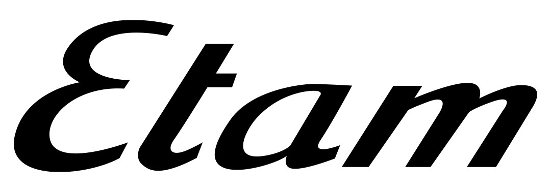 logo enseigne ETAM